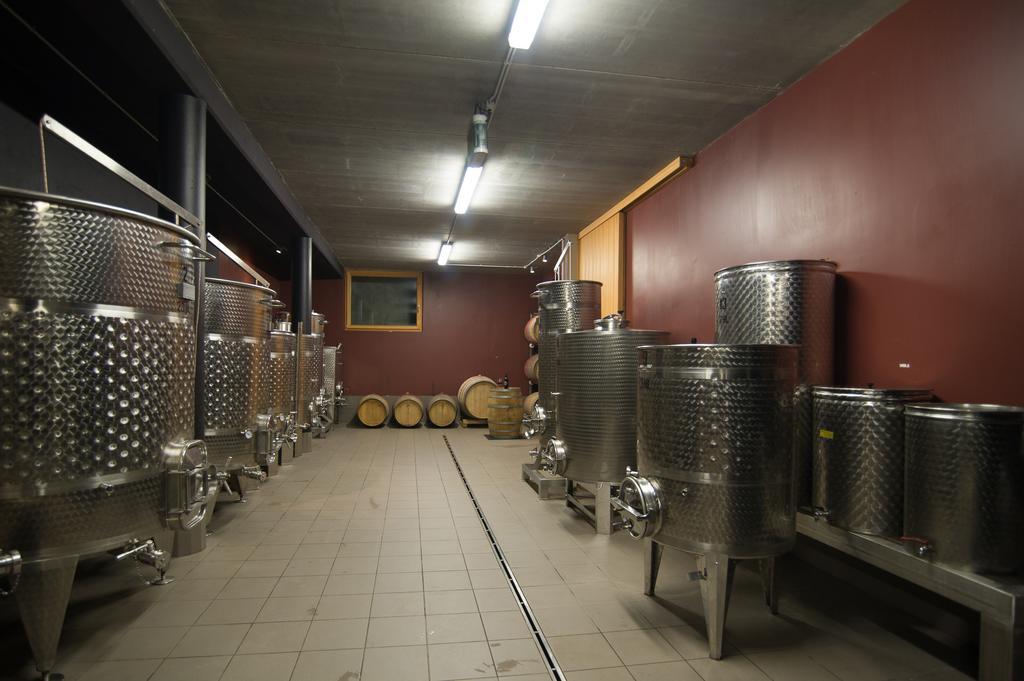Biobauernhof St. Quirinus Caldaro Exterior foto
